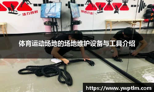 龙8头号玩家