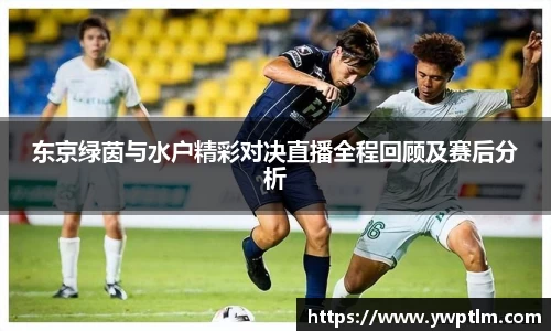 星空体育官方网站